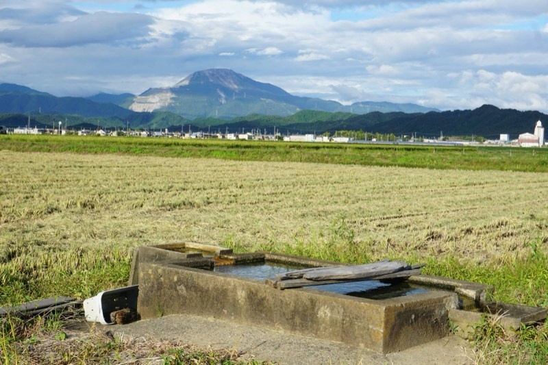 刈り取りの済んだ田んぼのそばにある、コンクリートの水槽。奥に山が見える