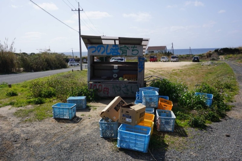 海のそばの、手づくりの無人販売所。「つのしま育ち」「やさい」と手書きされ、その前に青やオレンジのコンテナが積まれている